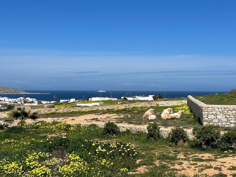 Aretousa Residence In Naoussa, Paros エクステリア 写真