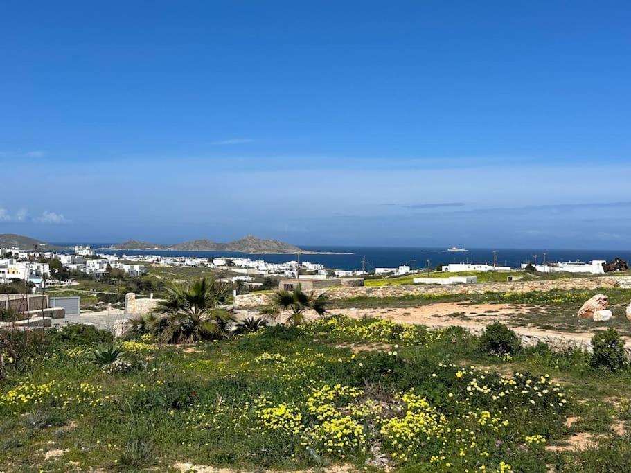 Aretousa Residence In Naoussa, Paros エクステリア 写真