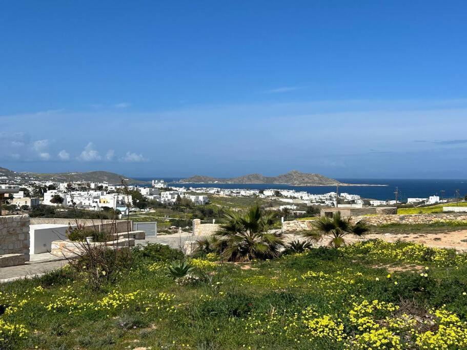 Aretousa Residence In Naoussa, Paros エクステリア 写真